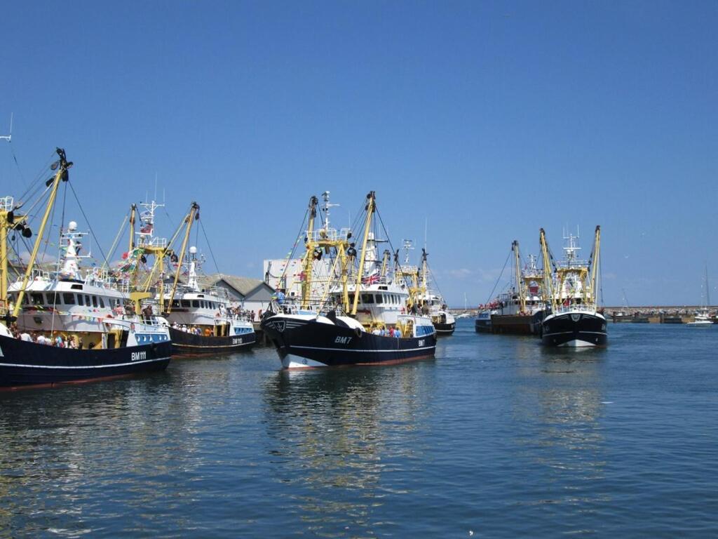 A Modern And Cosy Apartment Just Yards From Brixham'S Bustling Harbourside Extérieur photo